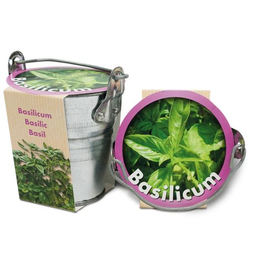 Herbs in bucket - Image 1